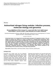 Actinorhizal nitrogen fixing nodules - African Journals Online (AJOL)