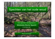 Middelste Bonte Specht - SOVON Vogelonderzoek Nederland