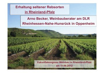 Erhaltung seltener Rebsorten in Rheinland-Pfalz Arno Becker ...