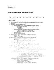 Nucleotides and Nucleic Acids