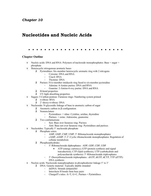 Nucleotides and Nucleic Acids