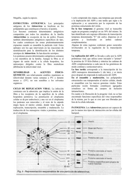 Capítulo 6: Infecciones respiratorias virales.