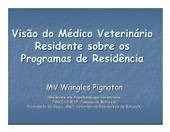 Wangles Pignaton de Paula - CFMV