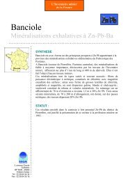 MinÃ©ralisations exhalatives Ã  Zn-Pb-Ba - SIG Mines France - BRGM