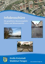 Infobroschüre - Stadt Waldshut-Tiengen