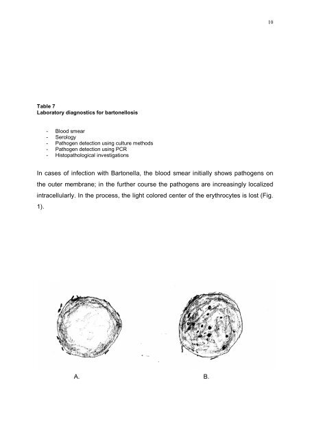 Infectiologic differential diagnosis of chronic Lyme disease and so ...