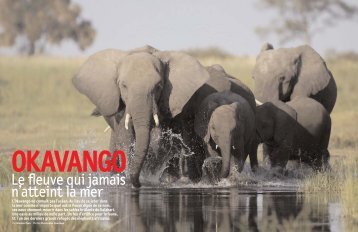 Terre sauvage - Living With Elephants Foundation