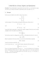 A Brief Review of Linear Algebra and Optimization 1 Vectors