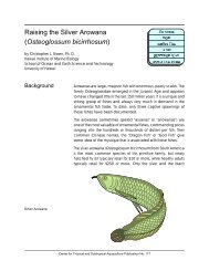 Raising the Silver Arowana (Osteoglossum bicirrhosum) - CTSA