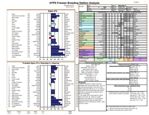 KFPS Friesian Breeding Stallion Analysis - FriesenLoveCoach