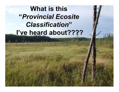 What is this âProvincial Ecosite Classificationâ I've heard about????