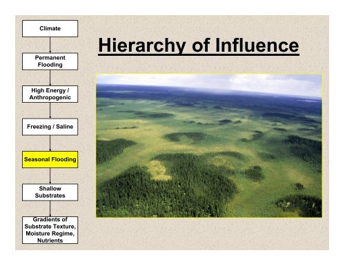 What is this âProvincial Ecosite Classificationâ I've heard about????