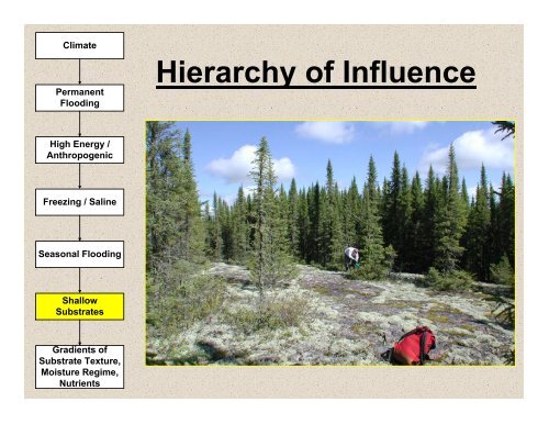 What is this âProvincial Ecosite Classificationâ I've heard about????