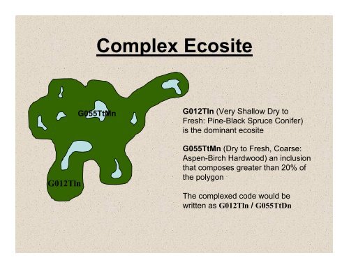 What is this âProvincial Ecosite Classificationâ I've heard about????