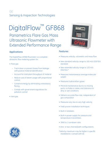 DigitalFlow GF868 flare gas flowmeter