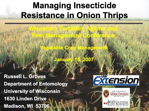 Onion Thrips Control using Carzol SPÂ® at 3 action thresholds Onion ...