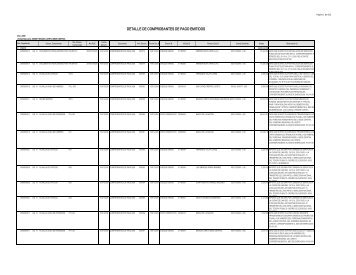 DETALLE DE COMPROBANTES DE PAGO EMITIDOS - Gobierno ...