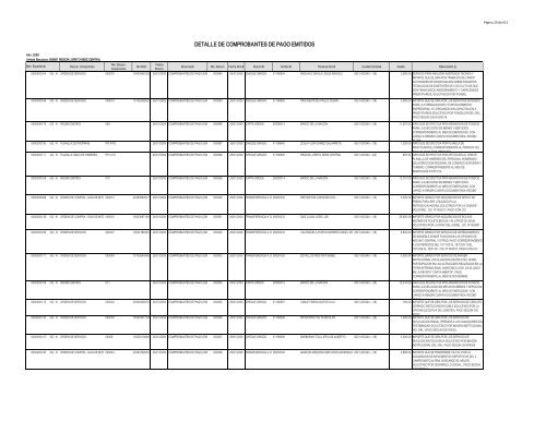 DETALLE DE COMPROBANTES DE PAGO EMITIDOS - Gobierno ...