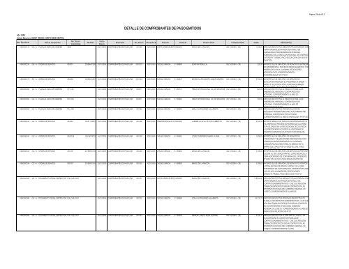 DETALLE DE COMPROBANTES DE PAGO EMITIDOS - Gobierno ...