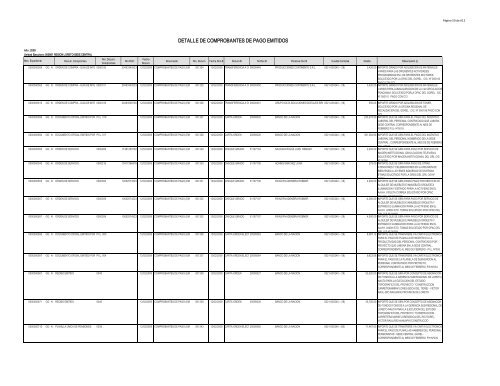 DETALLE DE COMPROBANTES DE PAGO EMITIDOS - Gobierno ...