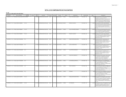 DETALLE DE COMPROBANTES DE PAGO EMITIDOS - Gobierno ...