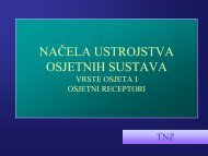 Osjetni sustavi, mirisi i okusi