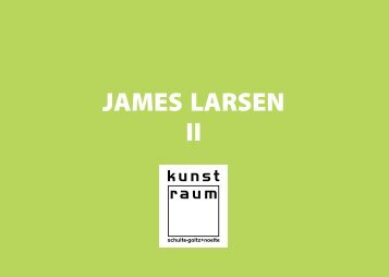 JAMES LARSEN II - kunst-raum / schulte-goltz + noelte