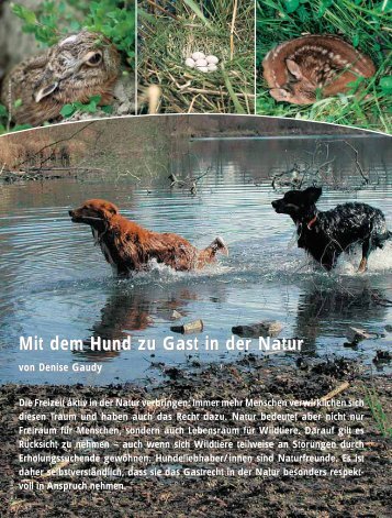 Mit dem Hund zu Gast in der Natur - Schweizer Hunde Magazin