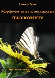 РазÑед Trichoptera â РÑÑейниÑи