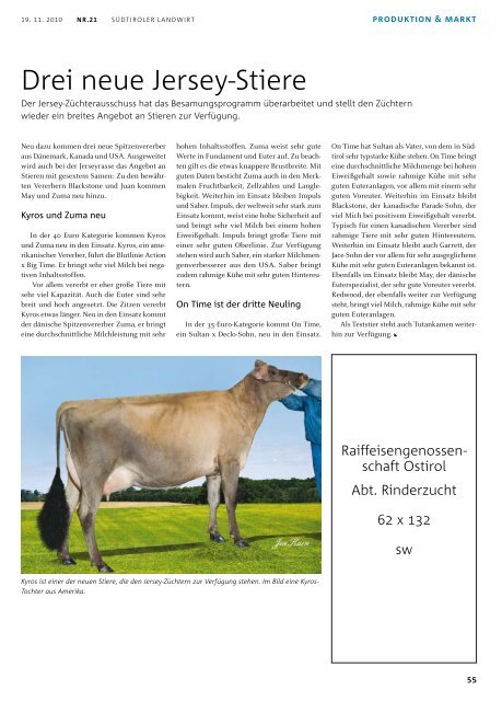 Drei neue Jersey-Stiere - Südtiroler Braunviehzuchtverband