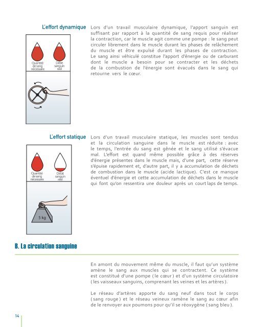 Ergonomie-Travail de bureau avec Ã©cran de visualisation - cgsst