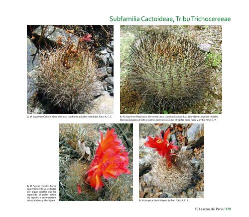 Caratula film CURVAS.indd - CDAM - Ministerio del Ambiente