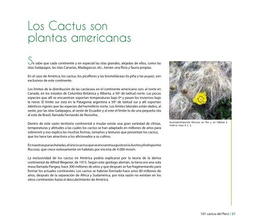 Caratula film CURVAS.indd - CDAM - Ministerio del Ambiente