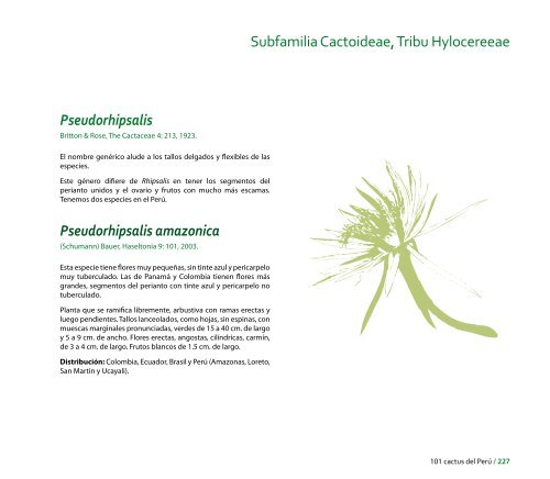 Caratula film CURVAS.indd - CDAM - Ministerio del Ambiente