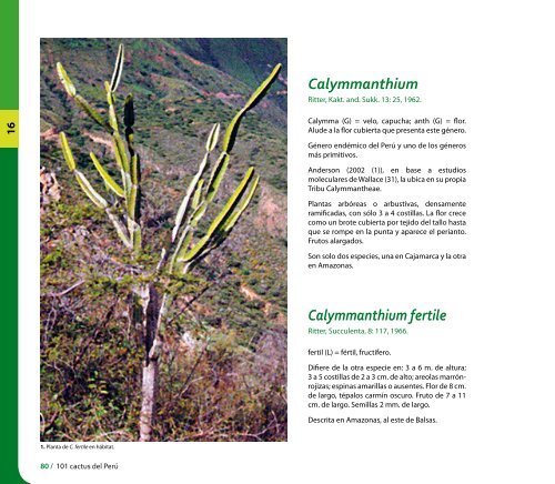 Caratula film CURVAS.indd - CDAM - Ministerio del Ambiente