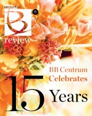 Download this publication as PDF - BB Centrum