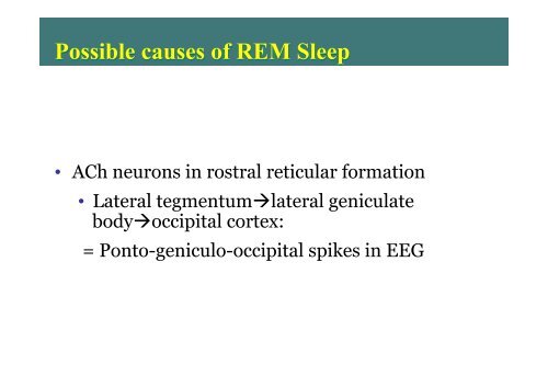 Physiology of Sleep