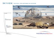 skyview: tactical air defense c4i system - ThalesRaytheonSystems