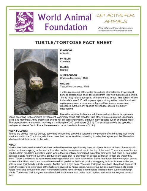 TURTLE/TORTOISE FACT SHEET - World Animal Foundation