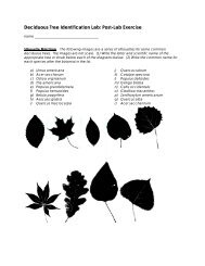 Deciduous Tree Identification Lab: Post-Lab Exercise - Employees ...