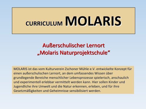 CURRICULUM MOLARIS - Zschoner Mühle