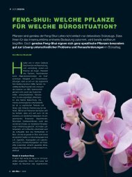 Feng-Shui: Welche Pflanze Für Welche Bürosituation? - Büroffice