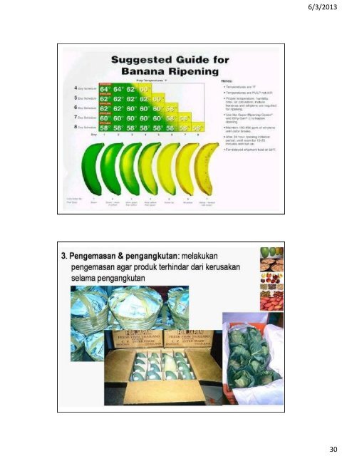 13 panen dan penanganan pasca panen