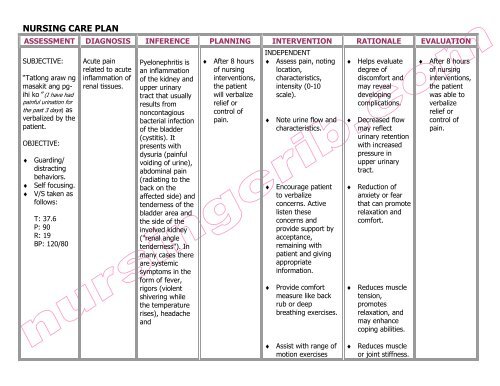 Nursing Care Plan Pyelonephritis Pdf Nursing Crib