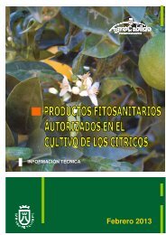 Descargar PDF - AgroCabildo