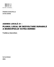 planul local de dezvoltare durabilÃ£ a municipiului vatra dornei