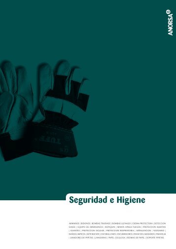 Seguridad e Higiene - ANORSA