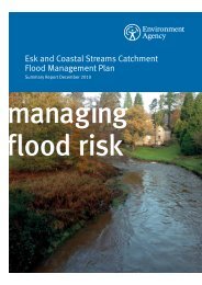 Esk and Coastal Streams Catchment Flood Management Plan