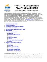 FRUIT TREE SELECTION PLANTING AND CARE - Star Nursery