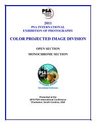 COLOR PROJECTED IMAGE DIVISION - PSA Exhibition